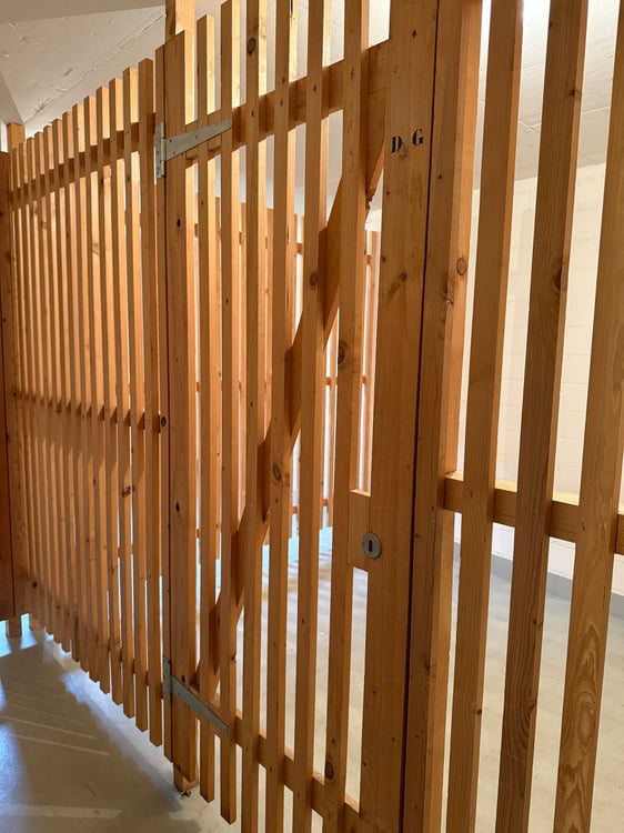 Wohnen über den Dächern – stilvoll, hell und naturnah – Erstvermietung nach umfassender Überholung 15