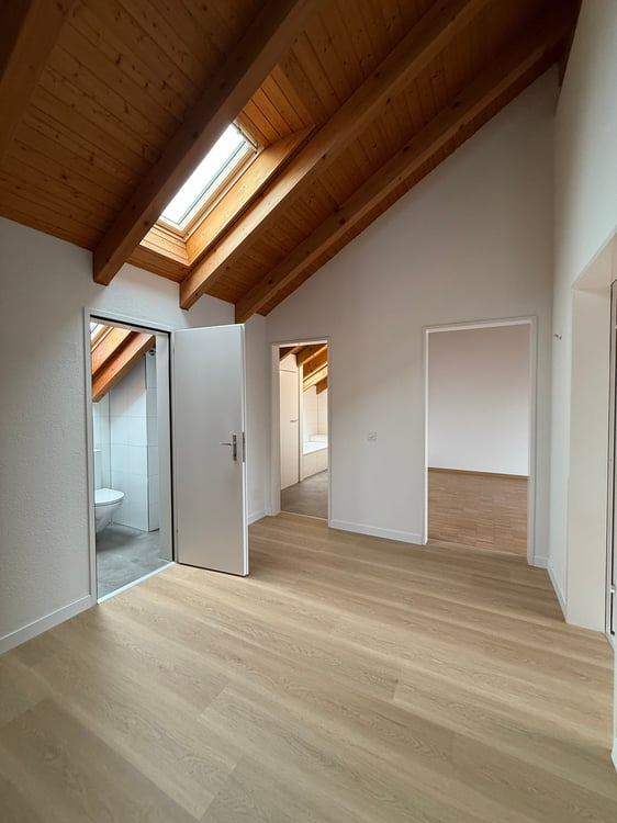 Wohnen über den Dächern – stilvoll, hell und naturnah – Erstvermietung nach umfassender Überholung 10