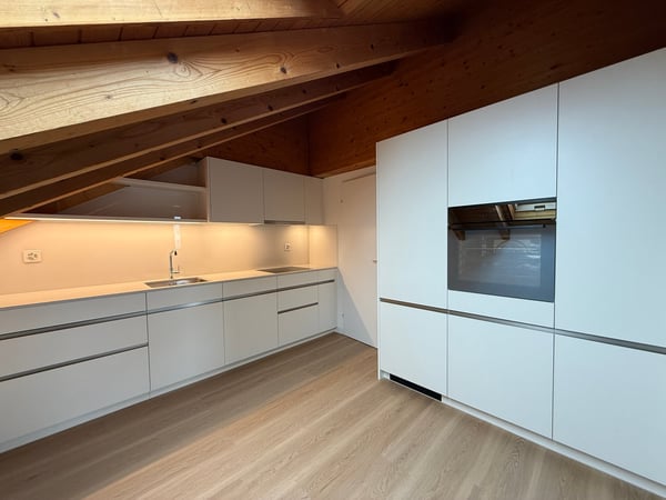 Wohnen über den Dächern – stilvoll, hell und naturnah – Erstvermietung nach umfassender Überholung 4