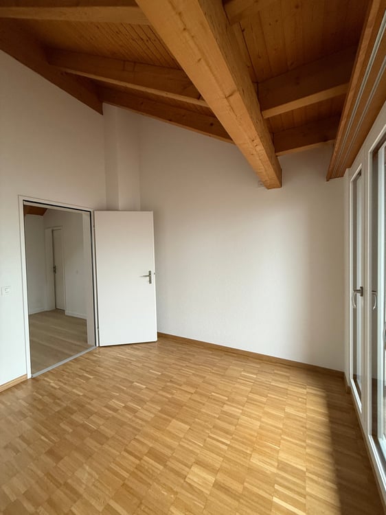 Wohnen über den Dächern – stilvoll, hell und naturnah – Erstvermietung nach umfassender Überholung 8