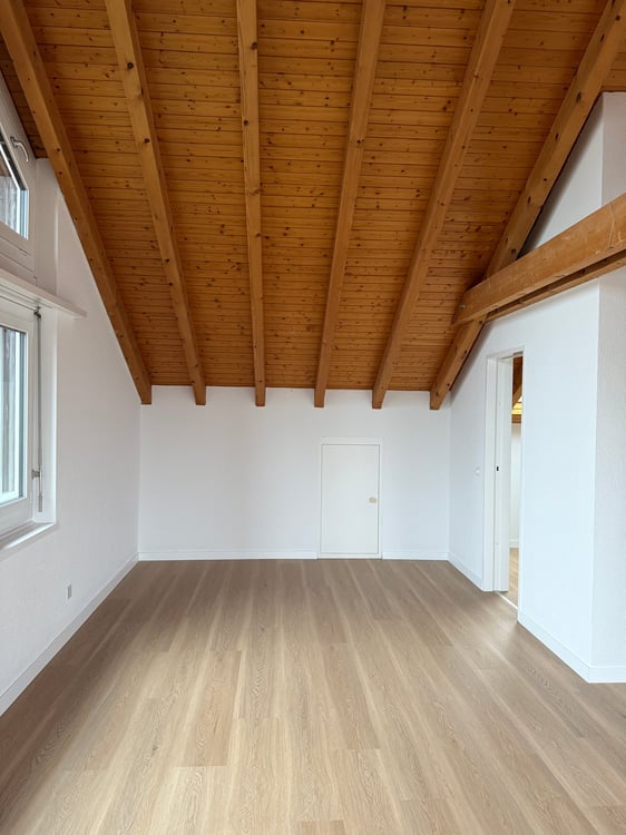 Wohnen über den Dächern – stilvoll, hell und naturnah – Erstvermietung nach umfassender Überholung 3