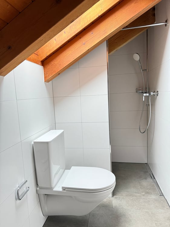 Wohnen über den Dächern – stilvoll, hell und naturnah – Erstvermietung nach umfassender Überholung 13