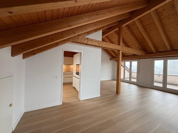 Wohnen über den Dächern – stilvoll, hell und naturnah – Erstvermietung nach umfassender Überholung 2