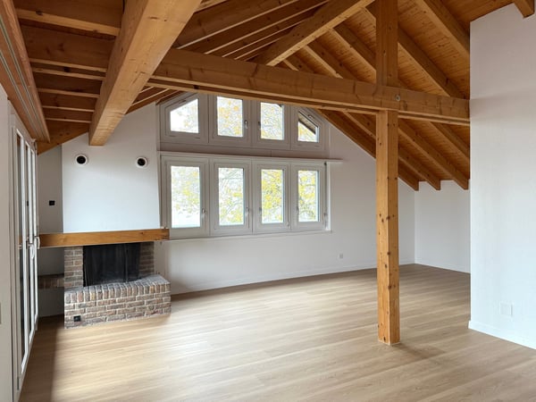 Wohnen über den Dächern – stilvoll, hell und naturnah – Erstvermietung nach umfassender Überholung 1