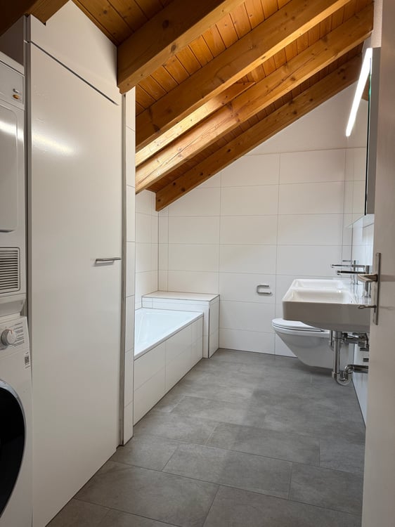 Wohnen über den Dächern – stilvoll, hell und naturnah – Erstvermietung nach umfassender Überholung 11