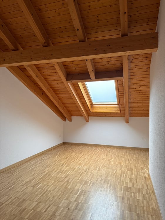 Wohnen über den Dächern – stilvoll, hell und naturnah – Erstvermietung nach umfassender Überholung 7