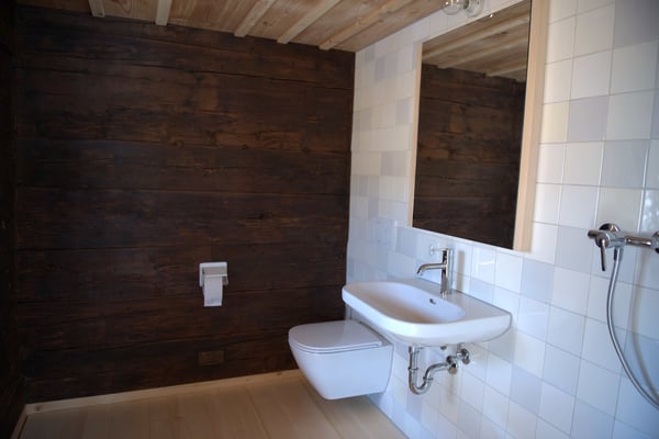 Historisches Einfamilienhaus mit moderner Ausstattung in Küssnacht am Rigi 13