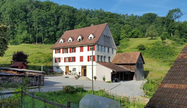 Charmante 1.5-Zimmer-Maisonette in historischer Mühle mit Seesicht 2