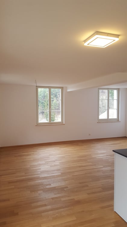 Charmante 1.5-Zimmer-Maisonette in historischer Mühle mit Seesicht 13