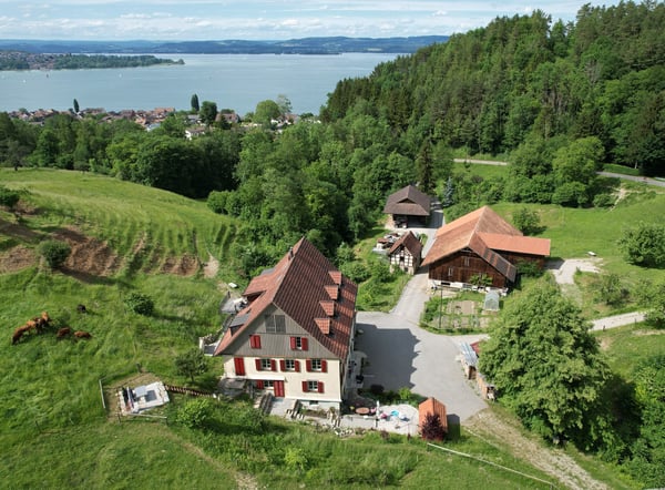 Preview image of the real estate