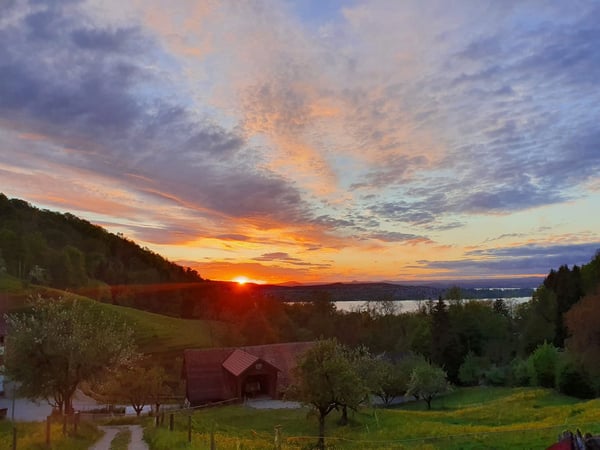 Charmante 1.5-Zimmer-Maisonette in historischer Mühle mit Seesicht 15