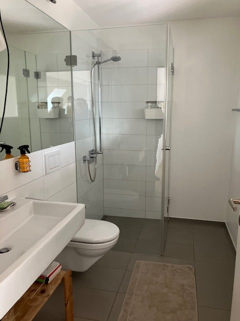 Suchen Sie etwas Besonderes? Grosszügige sonnige Maisonette-Dachwohnung nahe Novartis-Campus 11