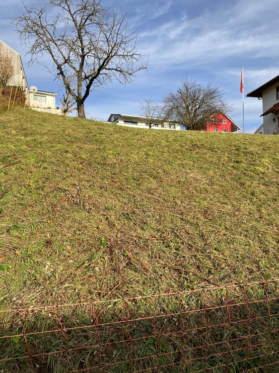 Bauland in Lampenberg 20