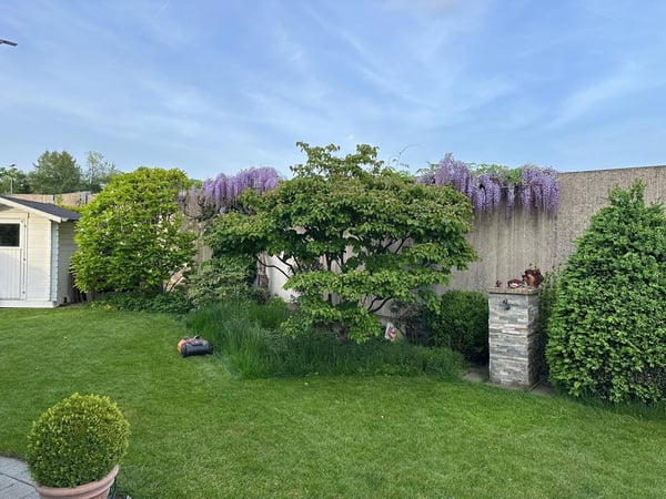 1.5-Zimmer-Reiheneckhaus mit grossem Garten 3