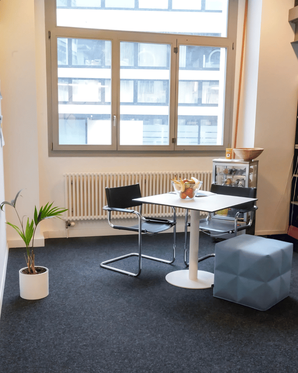 Ein Büro-Juwel im Zentrum von Baden 6