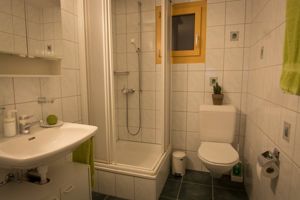 Gemütliche 1-Zimmer-Wohnung in Guttet-Feschel mit Bergblick 2