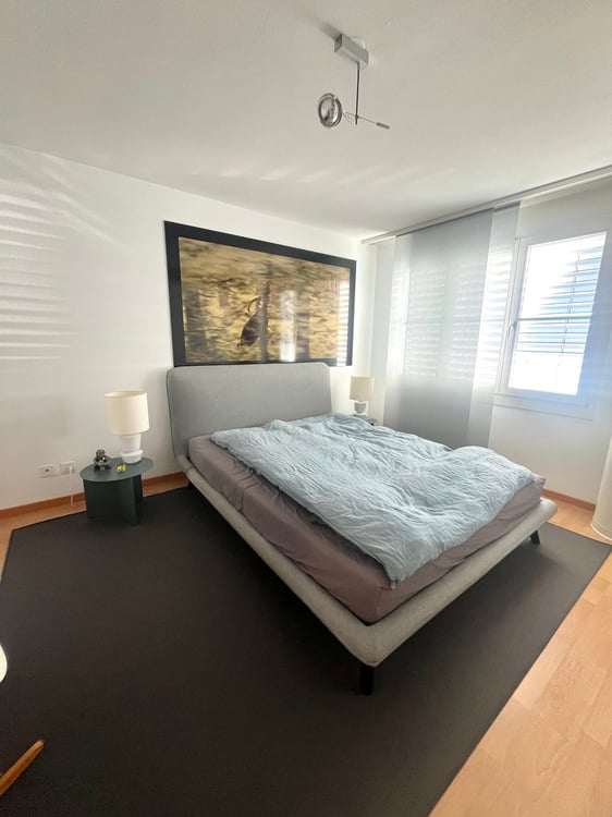 1.5-Zimmer- Doppelhaushälfte mit privatem Seezugang 10