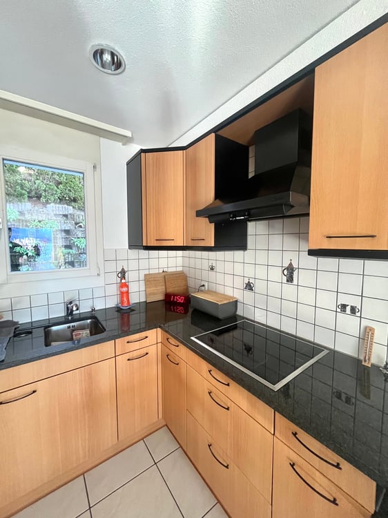 1.5-Zimmer- Doppelhaushälfte mit privatem Seezugang 8