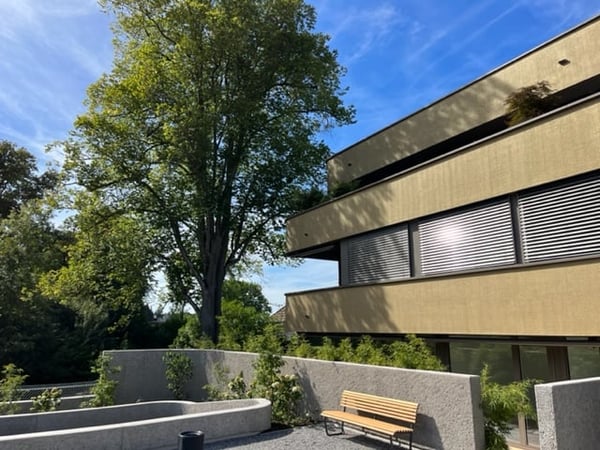 Objekt für Wohnliebhaber: Grosszügige, sonnige Parterre-Wohnung in Kreuzlingen 12