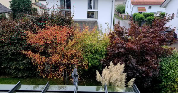 Freistehendes Familienidyll mit Garten, Sauna, Fitness & Photovoltaik 25