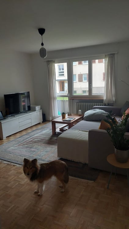 Sublet Jan-Apr in Zürich 3