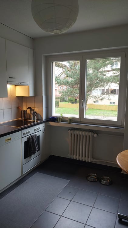 Sublet Jan-Apr in Zürich 5