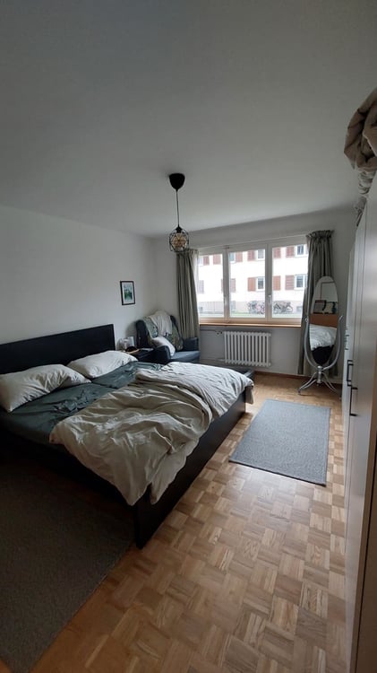 Sublet Jan-Apr in Zürich 2