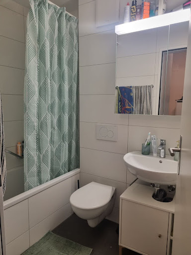 Charming 1.5-Room Apartment with Balcony in Zürich Altstetten 5