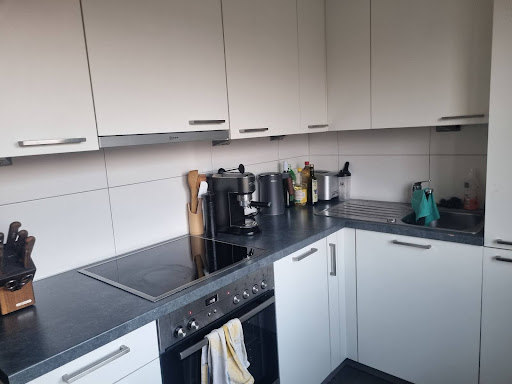 Charming 1.5-Room Apartment with Balcony in Zürich Altstetten 4