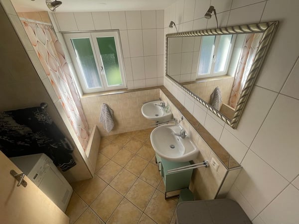 Grosszügige 1.5-Zimmer-Wohnung mit historischem Charme in Dachsen 14