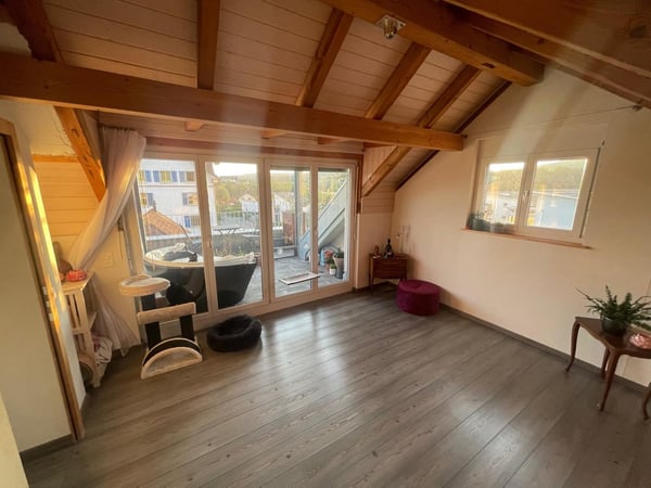 Grosszügige 1.5-Zimmer-Wohnung mit historischem Charme in Dachsen 2