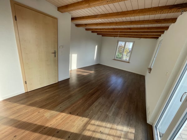 Grosszügige 1.5-Zimmer-Wohnung mit historischem Charme in Dachsen 19