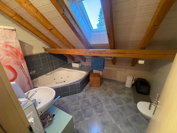 Grosszügige 1.5-Zimmer-Wohnung mit historischem Charme in Dachsen 4