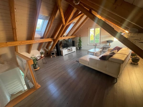 Grosszügige 1.5-Zimmer-Wohnung mit historischem Charme in Dachsen 1