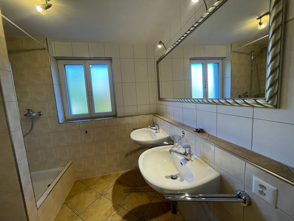 Grosszügige 1.5-Zimmer-Wohnung mit historischem Charme in Dachsen 21