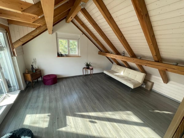 Grosszügige 1.5-Zimmer-Wohnung mit historischem Charme in Dachsen 3