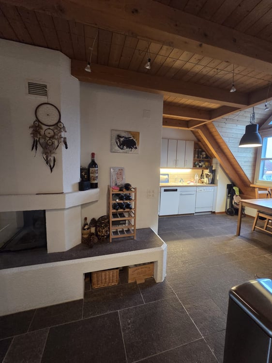 Apartment in Zürich 2