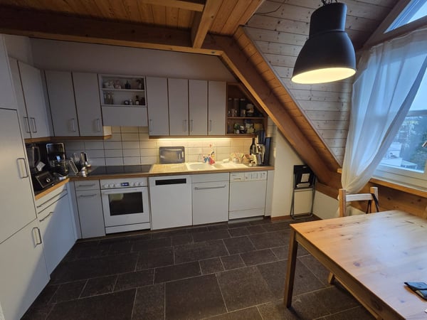 Apartment in Zürich 1