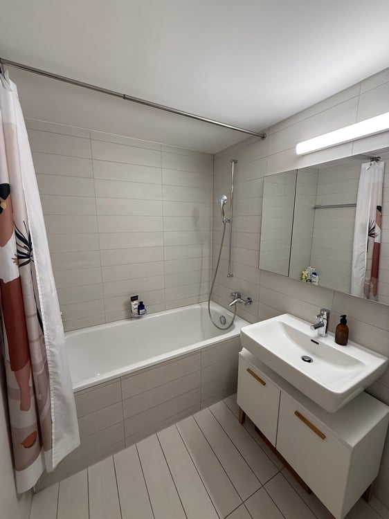 Charmante 1.5-Zimmer-Wohnung mit Balkon in Luzern 2