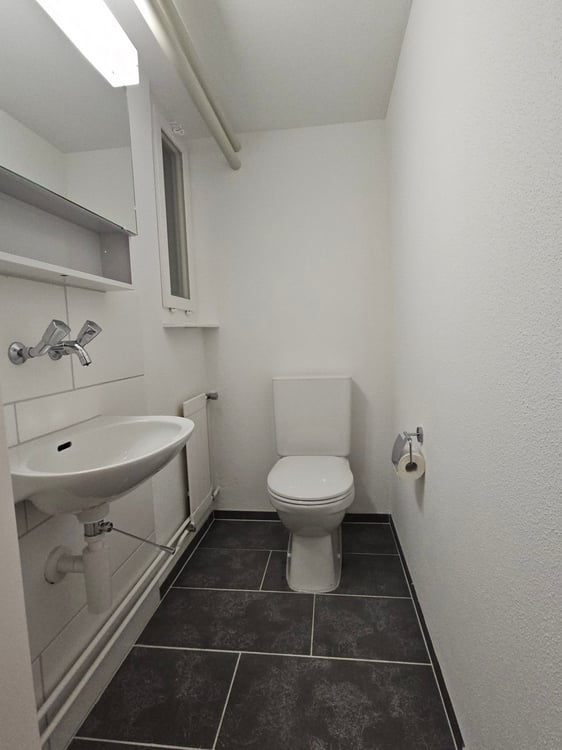 Charmantes 1.5-Zimmer-Reihenhaus in ruhiger Lage von Bonstetten (ZH) 12