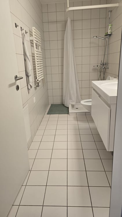 Spacious, bright room in a 5.5 family apartment, Oerlikon 3