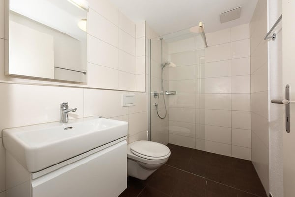 Moderne 4.5-Zimmer-Wohnung mit Seeblick in Beinwil am See 4