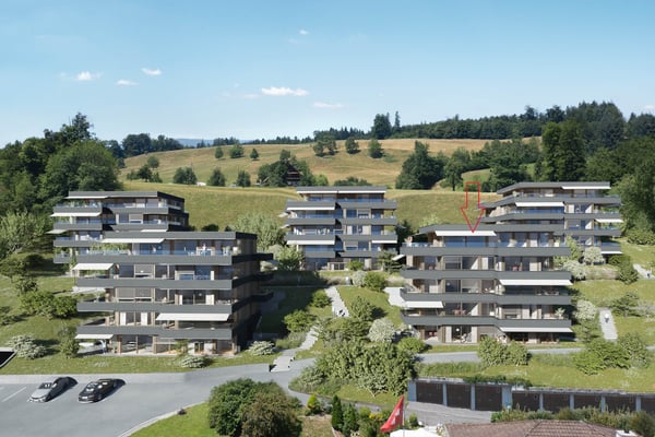 Moderne 1.5-Zimmer-Attika mit See- und Bergblick in Merlischachen 2