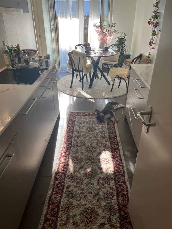 Charmante 1.5-Zimmer-Wohnung mit 2 Balkonen in Basel Steinenvorstadt 3