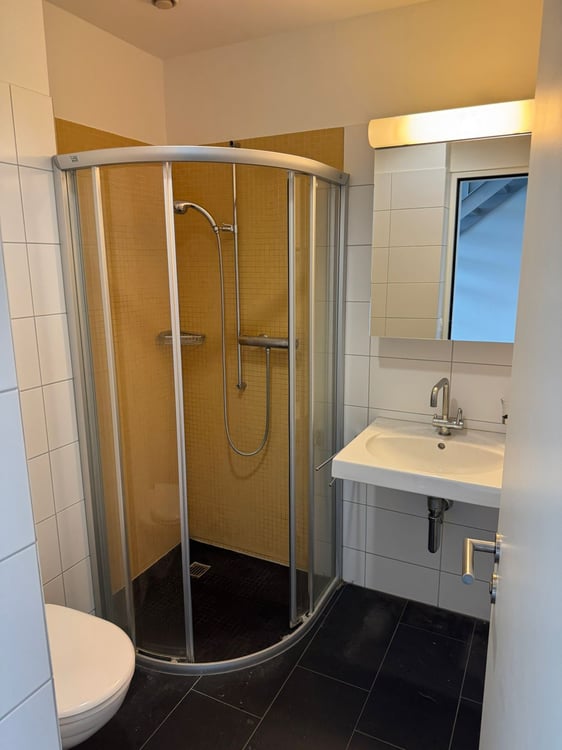 Moderne 1.5-Zimmer-Duplex-Wohnung mit Terrasse in Zürich-Industriequartier 2