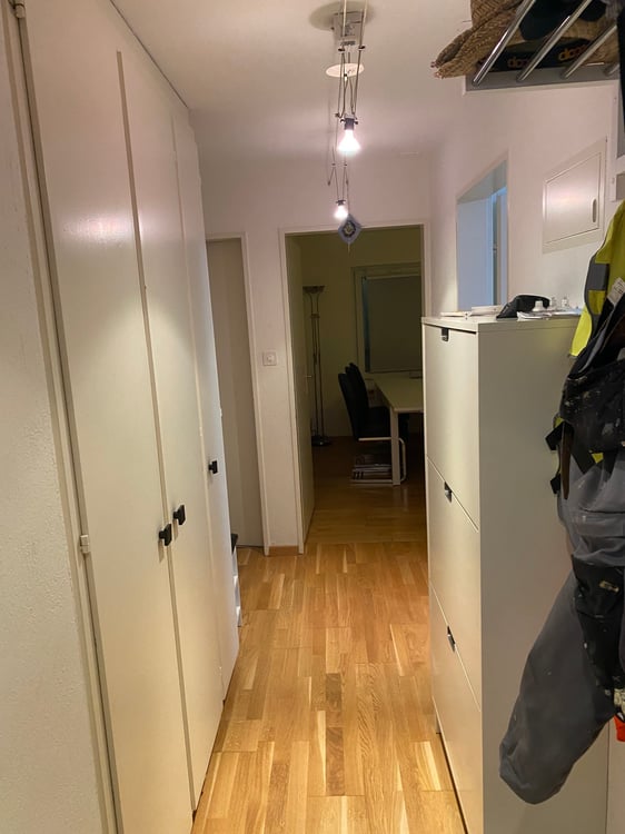 1-Zimmer-Wohnung mit Balkon sowie Garage und Parkplatz in Eschlikon 8