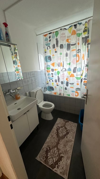 1-Zimmer-Wohnung mit Balkon sowie Garage und Parkplatz in Eschlikon 7