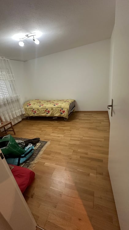 1-Zimmer-Wohnung mit Balkon sowie Garage und Parkplatz in Eschlikon 4