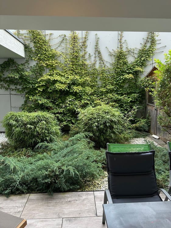 Stilvolle 1.5-Zimmer-Wohnung mit Seesicht, Terrasse und Gartensitzplatz in Wädenswil 3