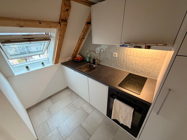 Cozy Attic Loft with Private Roof Terrace in the Heart of Zurich 5